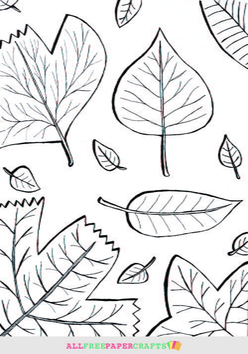 43 printable adult coloring pages pdf downloads