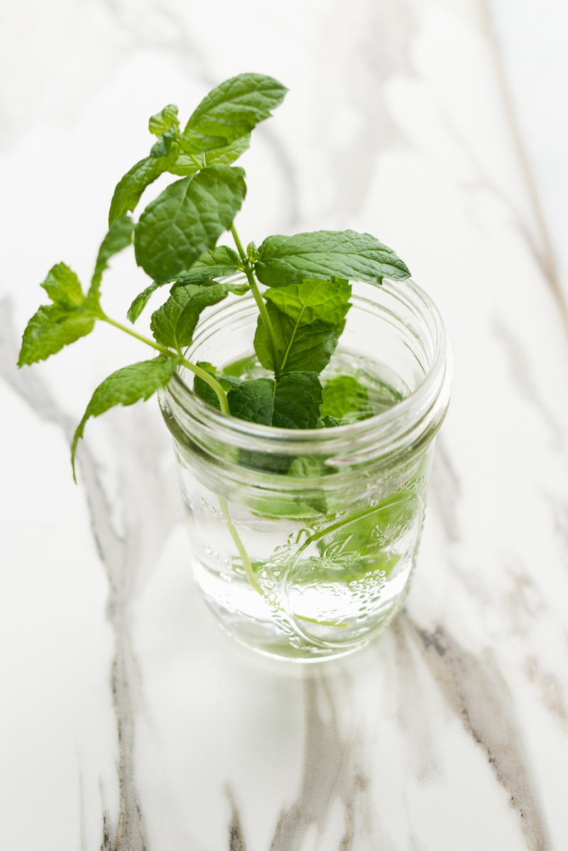 How to Make Peppermint Oil