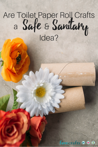 Are Toilet Paper Roll Crafts a Safe and Sanitary Idea