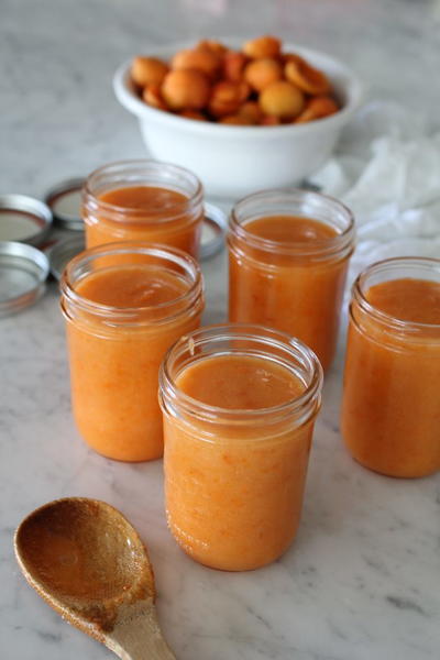 Southern Apricot Freezer Jam