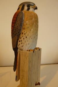 The Littlest Falcon, Part Two: Painting The American Kestrel
