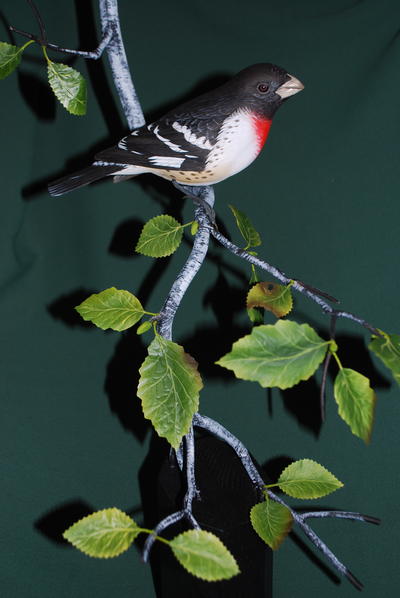 Rose-Breasted Grosbeak Wood Painting Project