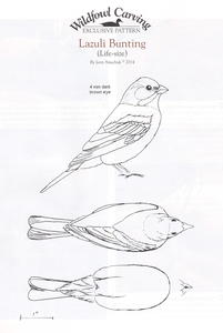 Western Brilliance: The Lazuli Bunting, Part One | wildfowl-carving.com