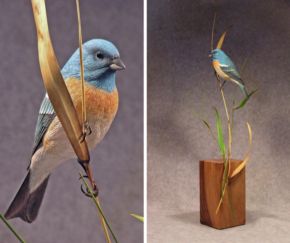 Western Brilliance: The Lazuli Bunting, Part One | wildfowl