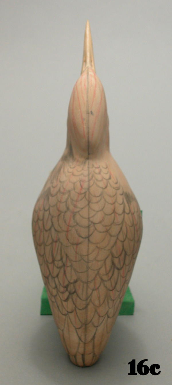 Least Bittern | wildfowl-carving.com