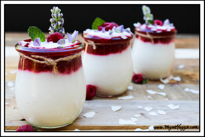 Raspberry Coconut Yogurt