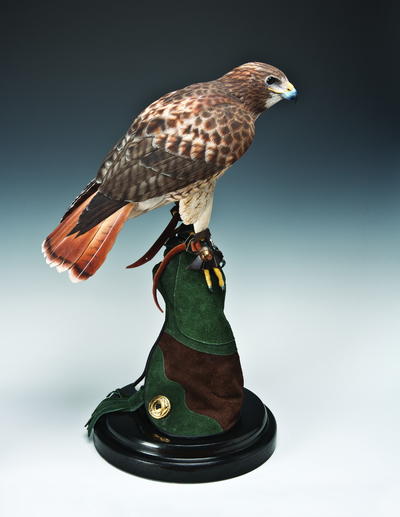 Red-Tailed Hawk Wood Carving Pattern