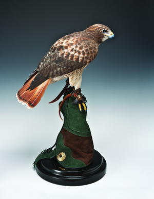 Red-Tailed Hawk Wood Carving Pattern