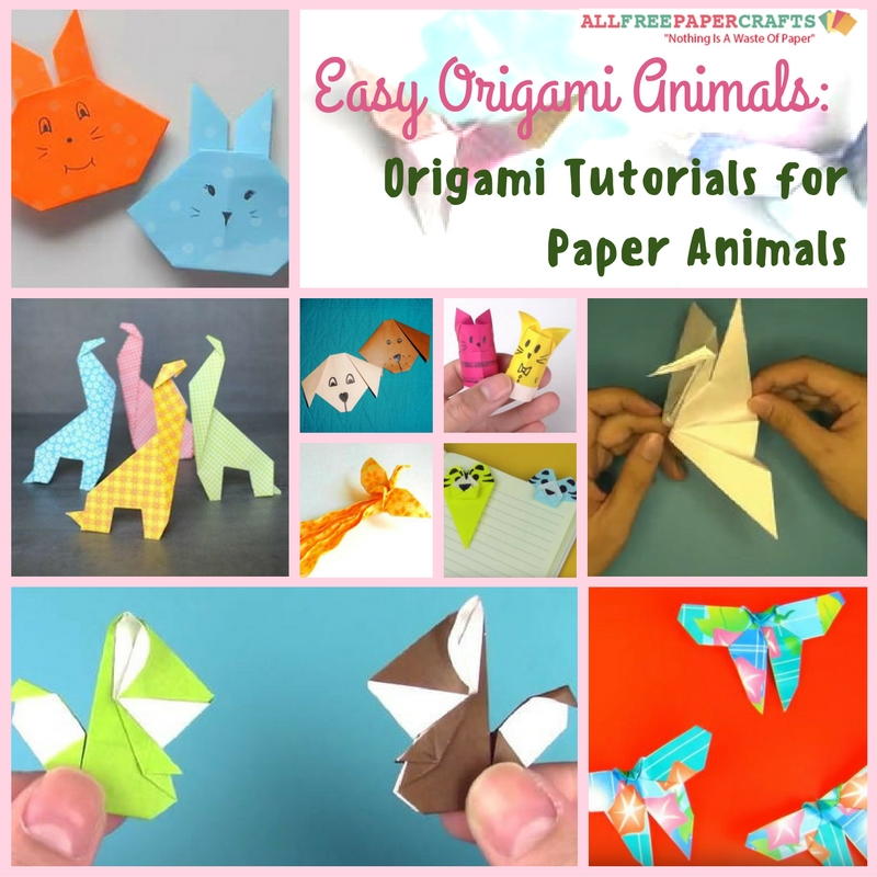 How To Make Origami Animals Step By Step For Kids