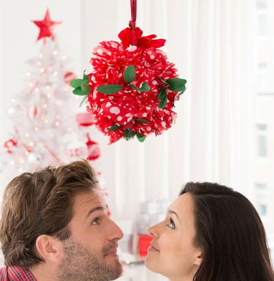 Make it Merry DIY Kissing Ball