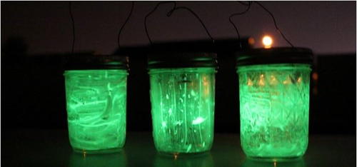 Fun Camping Glow Jars