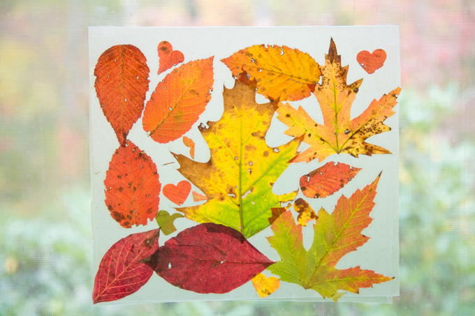 Autumn Leaf DIY Suncatchers | AllFreeKidsCrafts.com