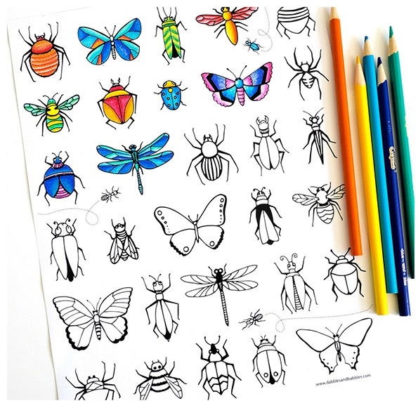 Butterflies And Bugs Coloring Page