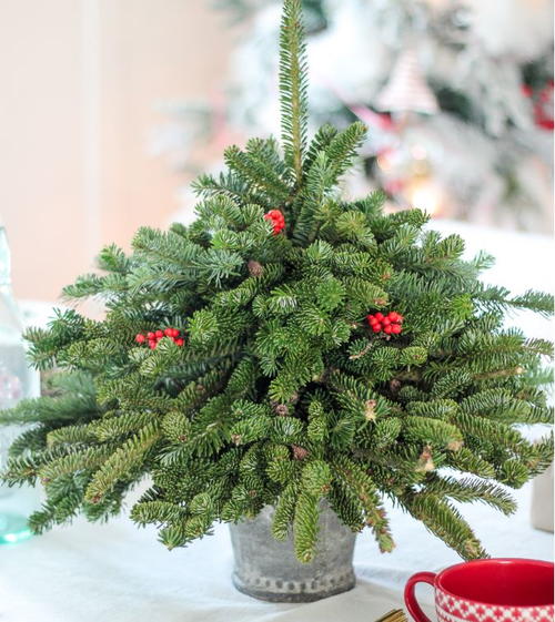 Christmas Clippings Tabletop Tree