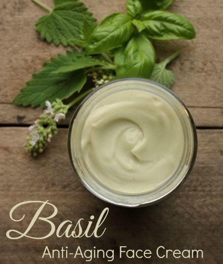 Homemade Facial Cream with Basil DIYIdeaCenter