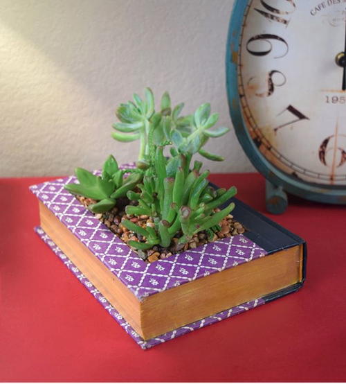 Book Planter Box Design