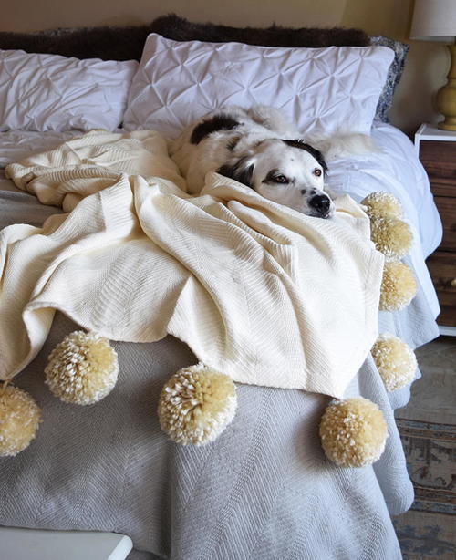 Fuzzy DIY Pom Pom Blanket