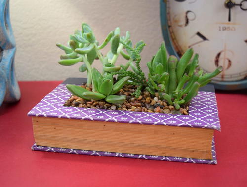 Nook in a Book DIY Succulent Planter | FaveCrafts.com