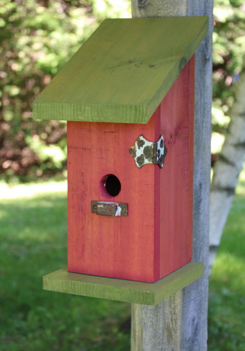 Nail-Less DIY Birdhouse