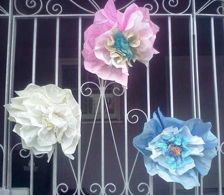 Jumbo Tissue Paper Flowers