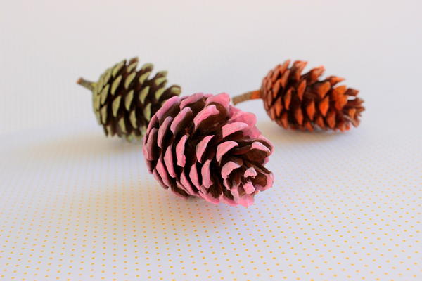 Painted Pine Cones