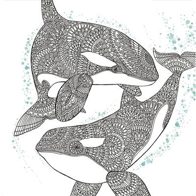 Orca Whale Coloring Page
