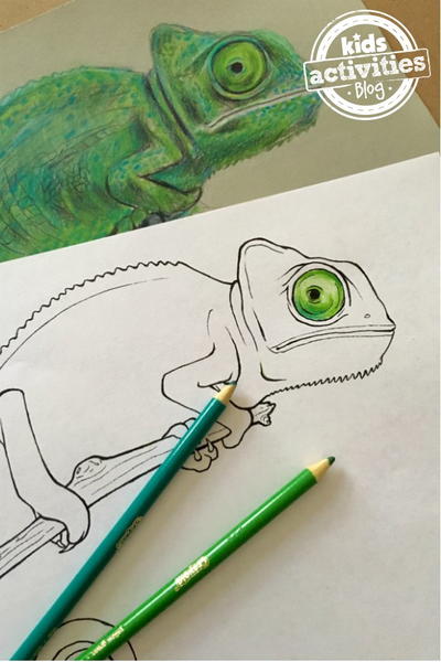 Chameleon Coloring Page