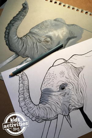Elephant Coloring Page | FaveCrafts.com