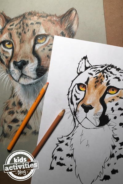 Cheetah Coloring Page