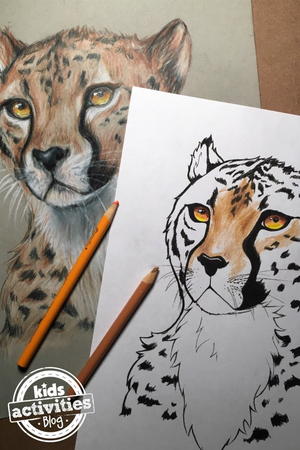 Cheetah Coloring Page | FaveCrafts.com