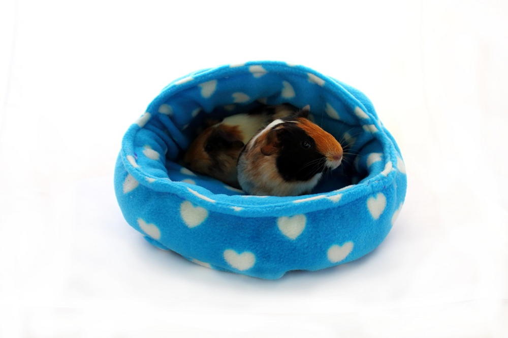 Small Animal Snuggle Pod Tutorial | AllFreeSewing.com