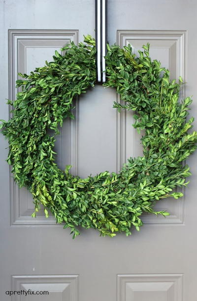 Breezy Boxwood DIY Wreath Breezy Boxwood DIY Wreath