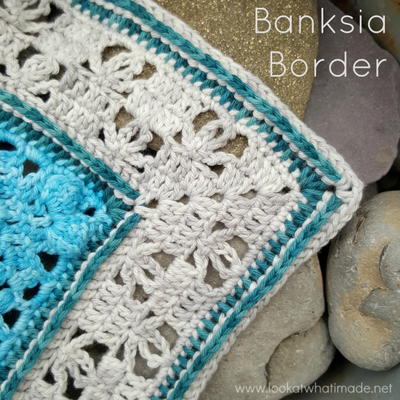 Lace Banksia Crochet Border