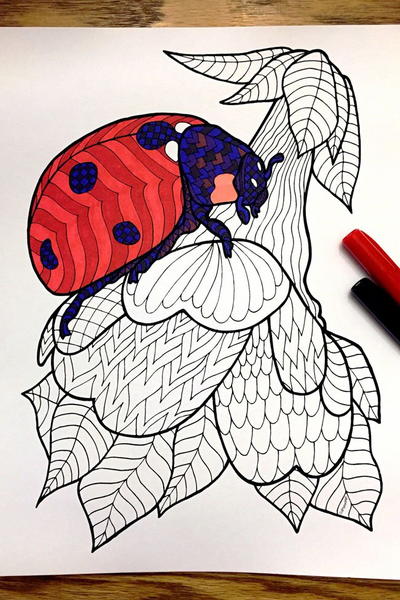 Ladybug Zentangle Coloring Page