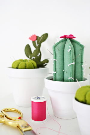 DIY Desert Cactus Pincushion