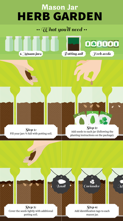 Mason Jar DIY Herb Garden Infographic