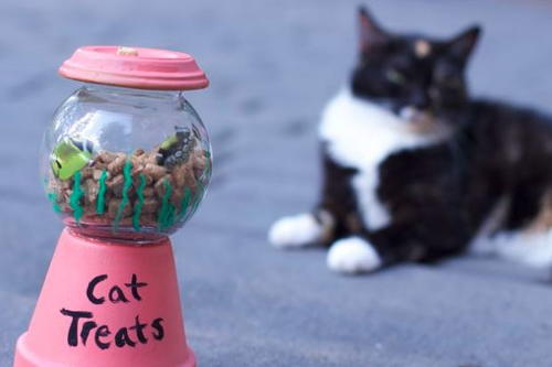 Purr-fect Cat Treat DIY Jar