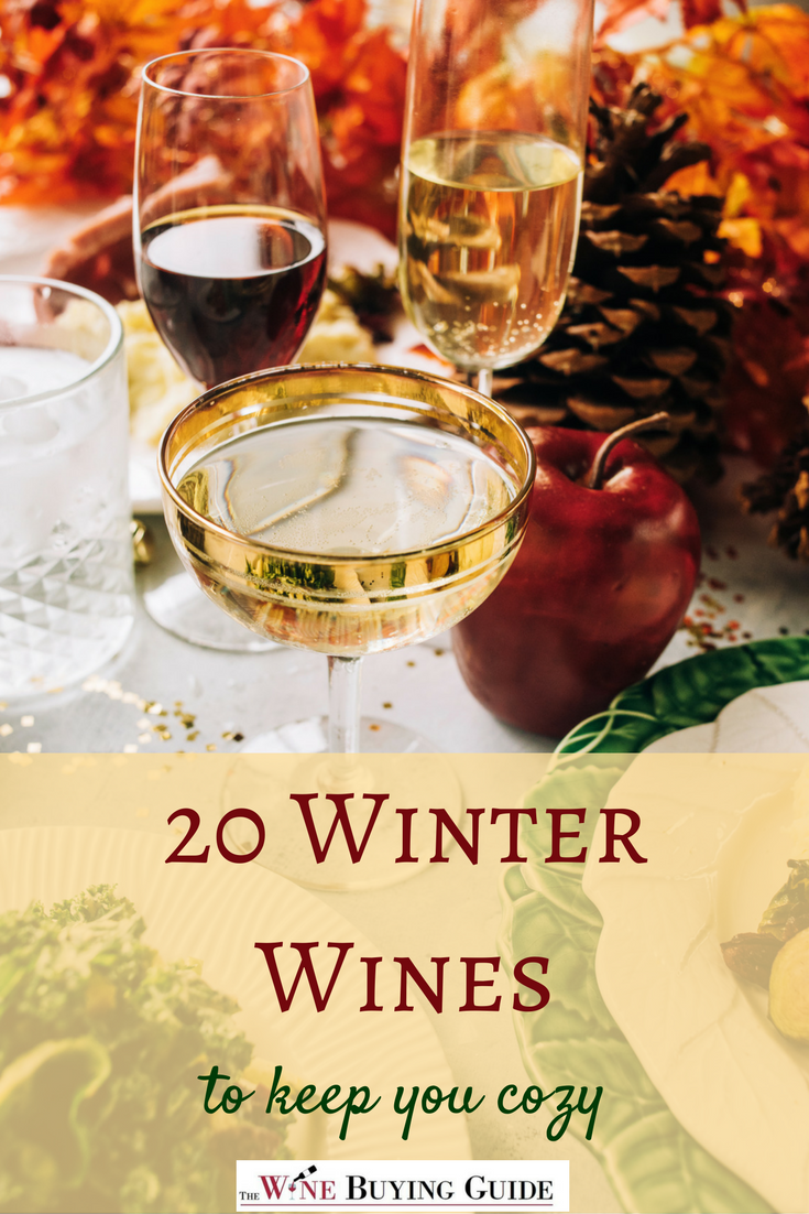 20 Winter Wines to Keep You Cozy