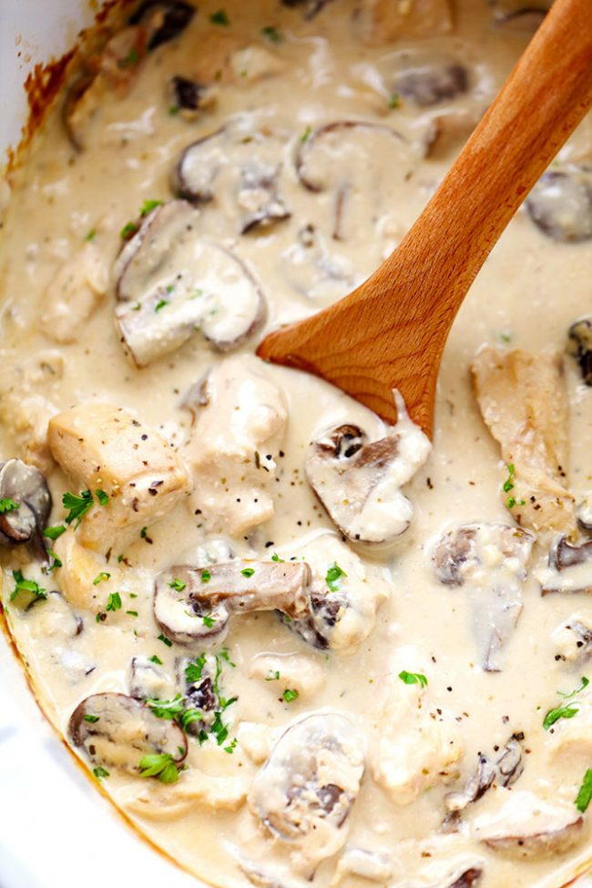 Slow Cooker Chicken and Mushroom Stroganoff | AllFreeSlowCookerRecipes.com