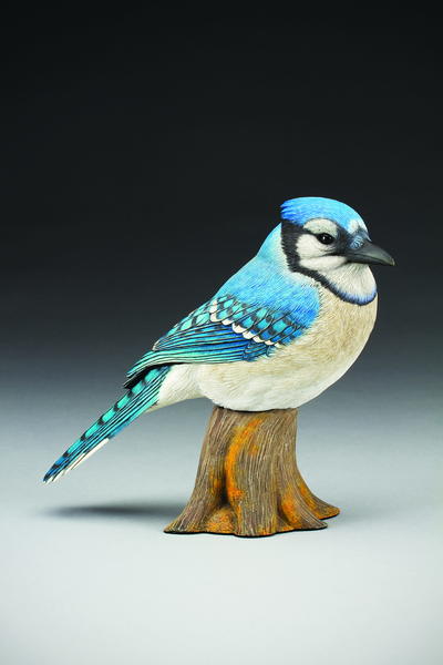 Eastern Blue Jay Wood Carving Pattern