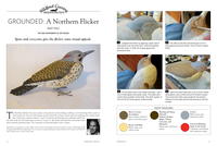 Grounded: A Northern Flicker Part Two