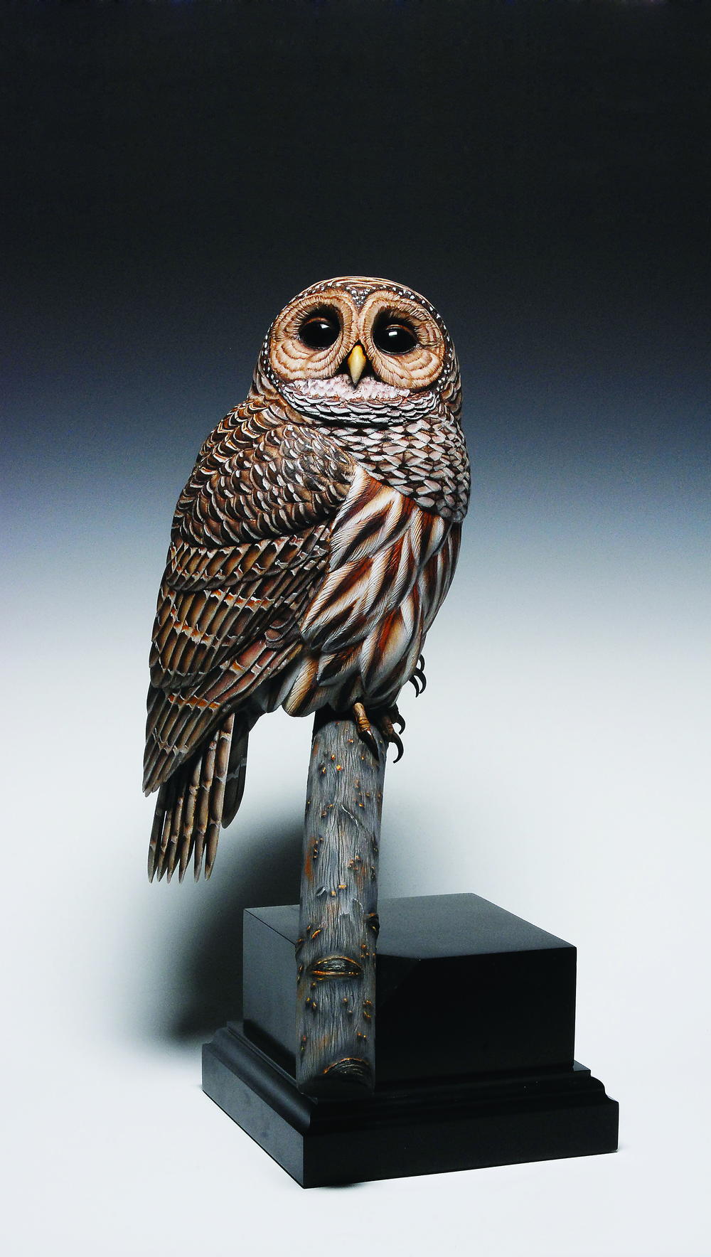 The Barred Owl | wildfowl-carving.com
