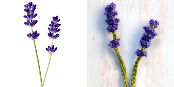 Lavender Flower Pattern