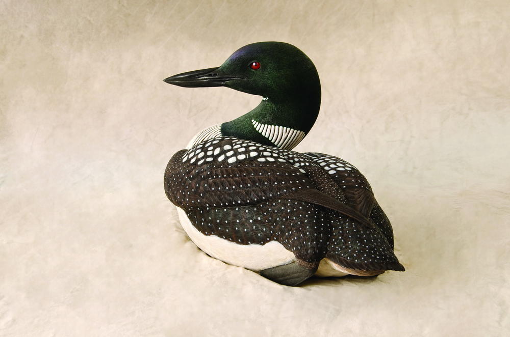 loon painting