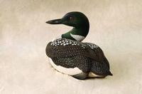 Back to the World: Carving and Painting a Common Loon
