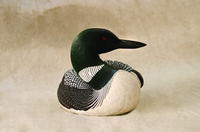 Back to the World, Part Two: Loon Texturing