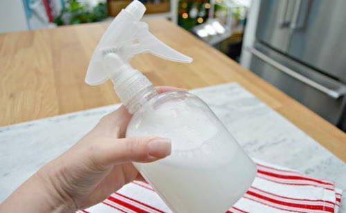 Peppermint Antibacterial DIY Cleaning Spray