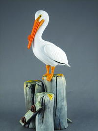 American White Pelican, Part Two: Painting and Habitat