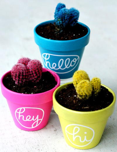 Cheerful Cactus DIY Plant Pot