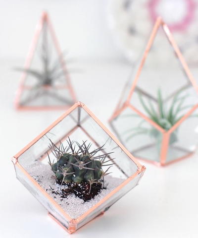 Gorgeous DIY Glass Terrarium